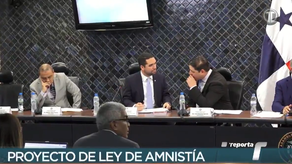 Proyecto de Ley de Amnistía