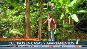 TR Verde: Club de los huerteros de Panamá