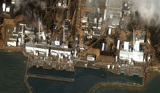 Detectan peces con altos niveles de radiactividad en ríos de Fukushima