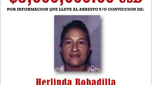 Herlinda Bobadilla, del clan de presuntos narcotraficantes Montes Bobadilla.