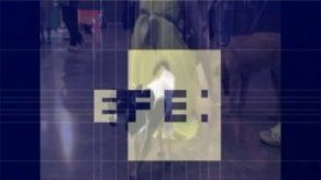 Perros de todos los pelajes exhiben sus galas en Tailandia