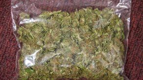 Vázquez se compromete a cumplir ley que regula marihuana recreativa en Uruguay