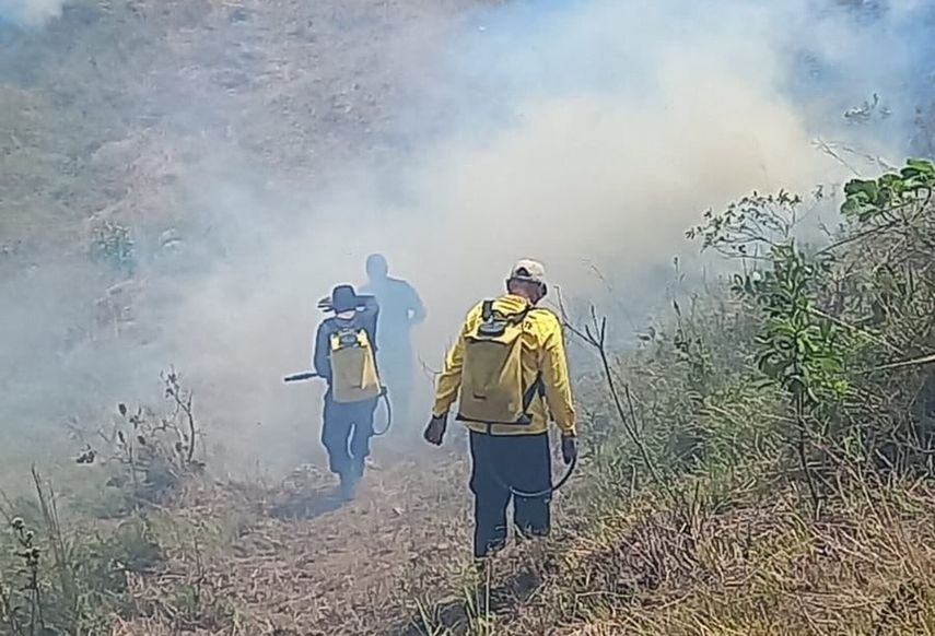 Incendio forestal en Altos de Campana arrasa con 8 hectáreas de vegetación