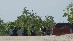 Encuentran a ejecutado en estado de descomposición en San Carlos