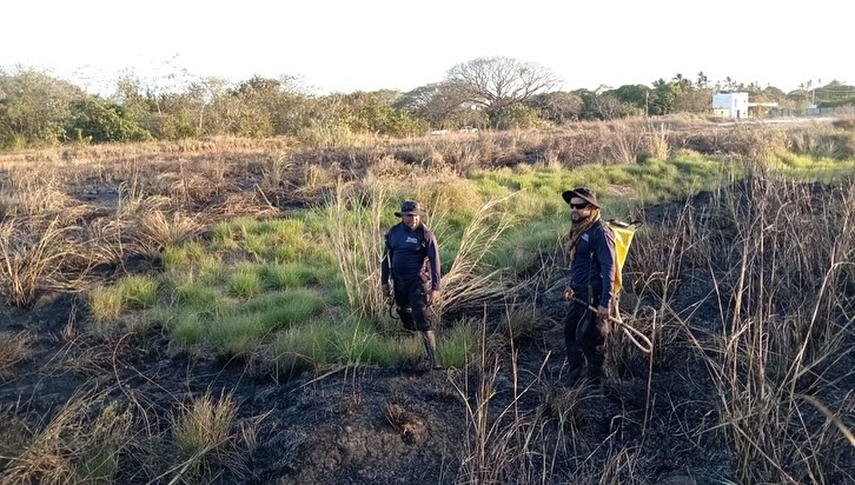 Guardaparques atendieron un incendio en el Pajonal de Chame.