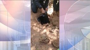 No hay detenidos por incautación de B/.2 millones, fusiles y pistolas en Felipillo No hay detenidos por incautación de B/.2 millones, fusiles y pistolas en Felipillo