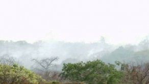 Incendio forestal se registra en Coclé