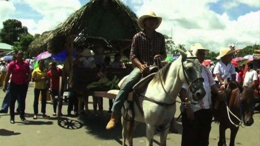 Empolleradas engalanan desfile en Soná de Veraguas