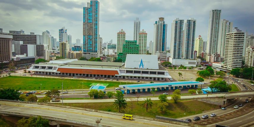 ¿Por qué la ATP taló tres Ficus en Atlapa?