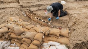 Las mediciones del yacimiento lo situaban en el paleolítico inferior.