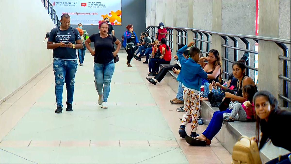 Feria del MINSA en Albrook: así puedes obtener el carnet blanco y verde de salud