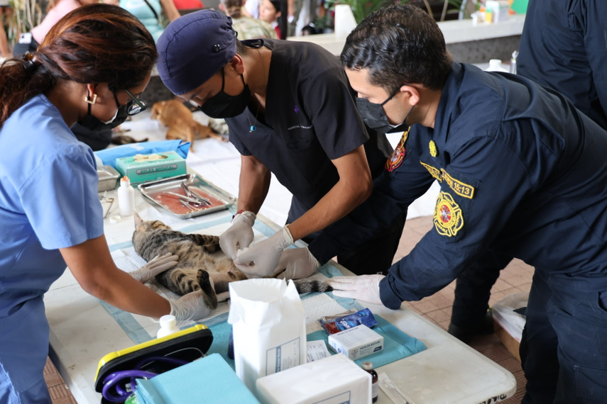 Buque hospital realiza atención veterinaria gratuita