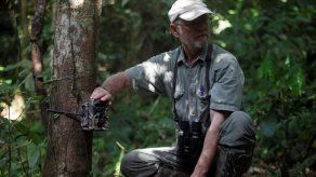 Tecnología conecta isla Barro Colorado con la academia del mundo