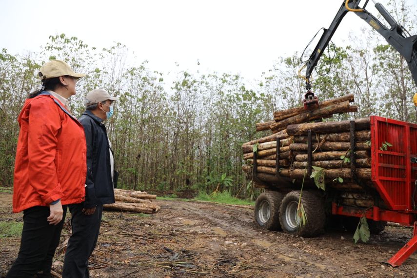 Esta cooperación se da con el fin de colaborar en el fortalecimiento de la gestión pública del sector productivo forestal panameño.