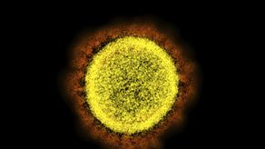 Los estudios sugieren que se propaga más rápido que la ómicron original y en casos inusuales pueden enfermar a la población incluso si de antemano han sido contagiados con la ómicron.