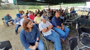 MIDA realiza jornada de capacitación sobre salud animal MIDA realiza jornada de capacitación sobre salud animal