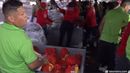 Naviferias del IMA. Naviferias del IMA.