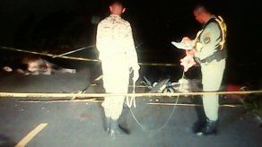 Motorizado pierde la vida tras colisionar con una res en Bocas del Toro