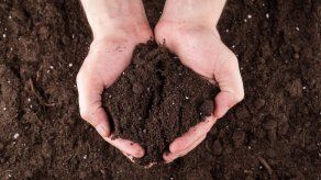 Panamá se compromete a revertir degradación que afecta al 28% de sus suelos