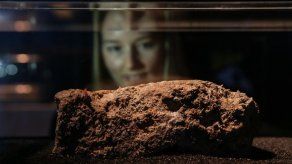 Exponen en Londres fragmento de un monstruoso banco de grasa