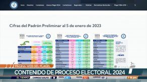 Tribunal Electoral lanza sitio web PLAGEL 2024