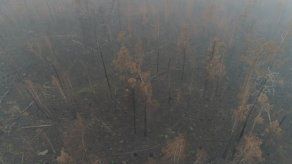 Los incendios de Siberia asfixian a la ciudad de Boguchani