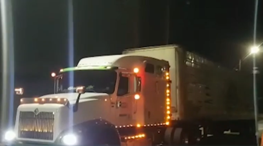 De forma regular ingresaban entre 200 y 250 camiones a Merca Panamá.