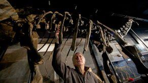 Rusia: Reconstruyen dinosaurio que vivió hace cien millones años