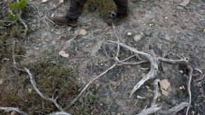 Las zonas áridas del planeta absorben dióxido de carbono de la atmósfera