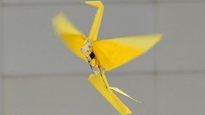 Expertos debaten en Davos si se debe permitir el desarrollo de robots asesinos