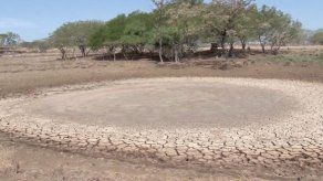 MIDA presenta plan de 5.1 millones de dólares para mitigar sequía en Los Santos MIDA presenta plan de 5.1 millones de dólares para mitigar sequía en Los Santos