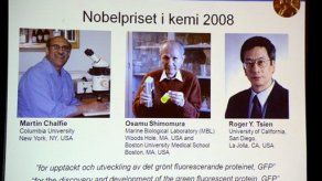 Premio Nobel de Química a un japonés y dos estadounidenses