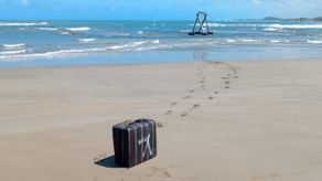 SENAN decomisa paquetes de presunta droga&nbsp;