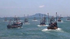 100 barcos zarpan a nivel nacional tras fin de la veda de camarón 100 barcos zarpan a nivel nacional tras fin de la veda de camarón