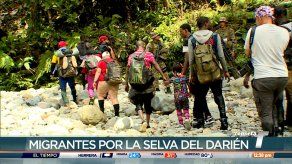 Imelcf registra 74 defunciones de migrantes en Darién en lo que va del 2023