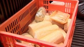 Minsa decomisa tortillas con moho en 24 de Diciembre