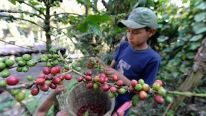 Alcaldía de Panamá y Mitradel firman convenio para eliminar el trabajo infantil Alcaldía de Panamá y Mitradel firman convenio para eliminar el trabajo infantil