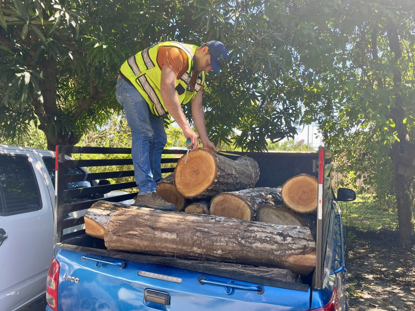 MiAmbiente detiene cargamento ilegal de madera