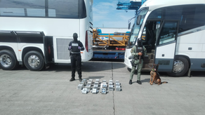 Buses que transportaban la presunta droga en la provincia de Colón, según la Policía Nacional. Buses que transportaban la presunta droga en la provincia de Colón, según la Policía Nacional.
