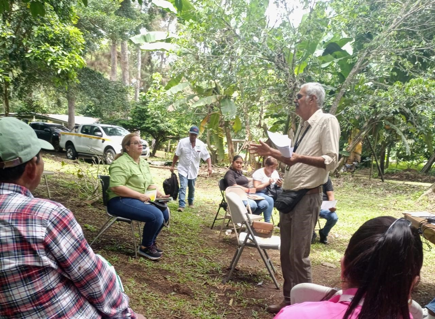 MIDA analiza retos y proyecciones&nbsp;