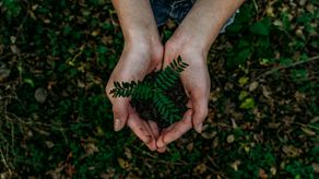 Conmemoramos el Día de la Tierra para fomentar la importancia del cuidado del medioambiente.