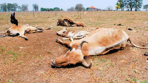 Sequía en Panamá: ¿Cuántos días faltan para que termine?