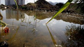 Brasil moviliza militares para combatir dengue