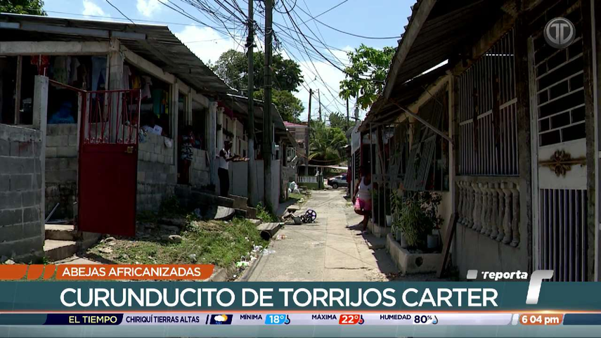 San Miguelito: Hombre muere por ataque de abejas africanas.