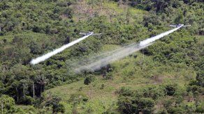 Aumentó la producción de coca en Colombia en 2014