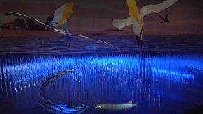 Museo de Los Ángeles exhibe el mundo de los pterosaurios