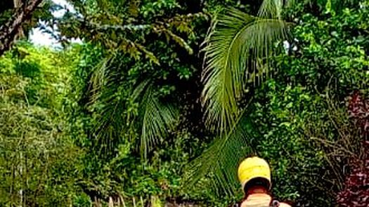 Río La Villa se desborda y afecta viviendas en Los Santos Río La Villa se desborda y afecta viviendas en Los Santos