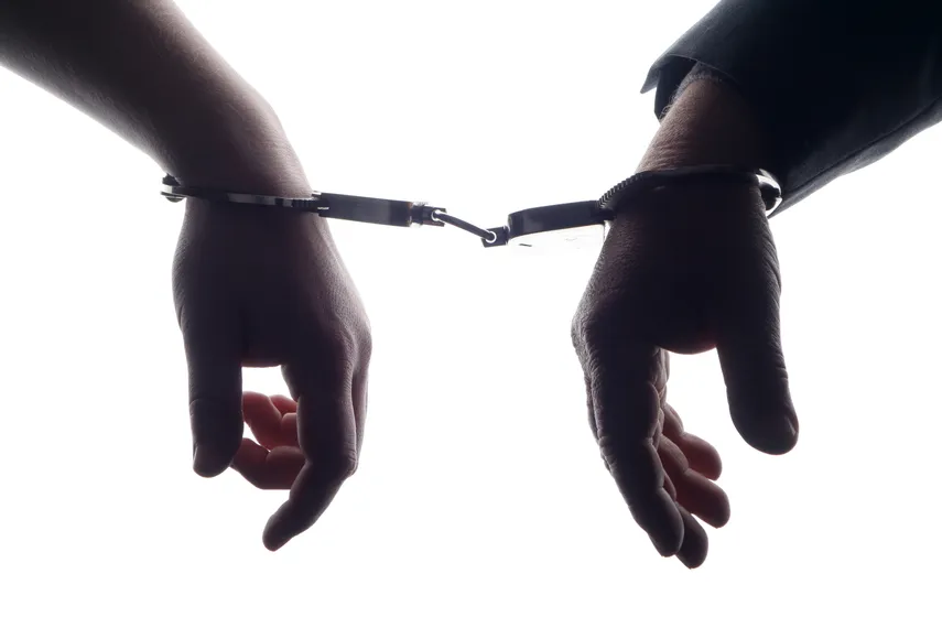 Detención provisional.&nbsp;