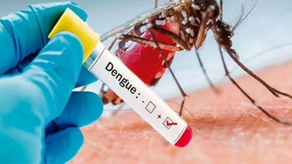 MINSA. Casos de Dengue en Panamá