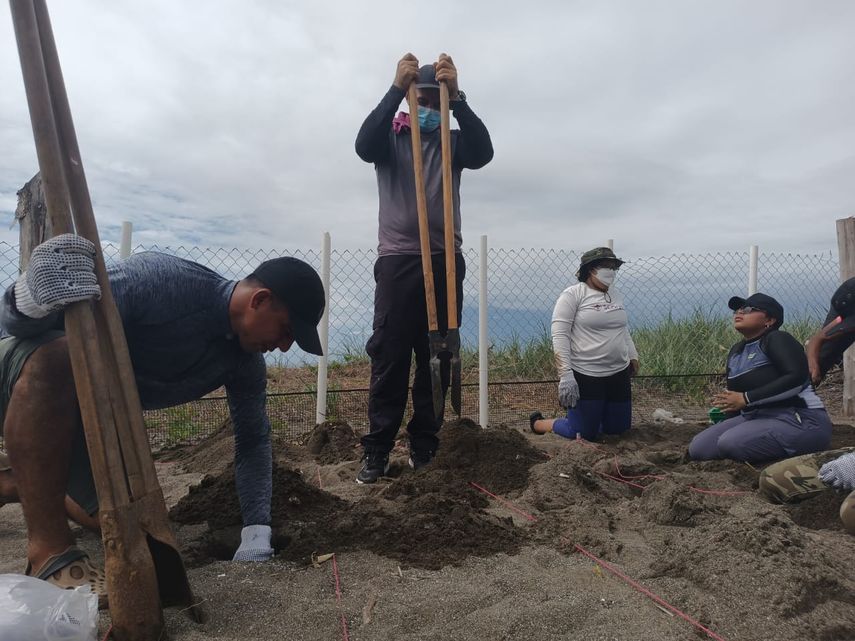 Los trabajos de reforzamiento de las estructuras o cercas y limpieza del vivero